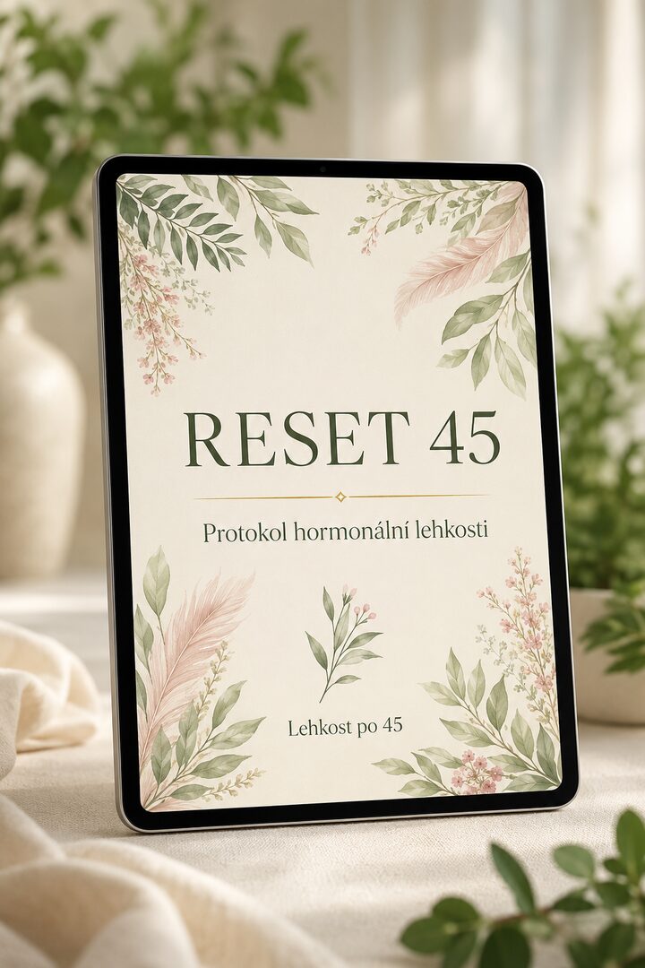Reset 45 — obálka e-booku